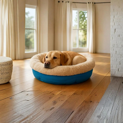 Cuccia interno cani - cuccia, di
