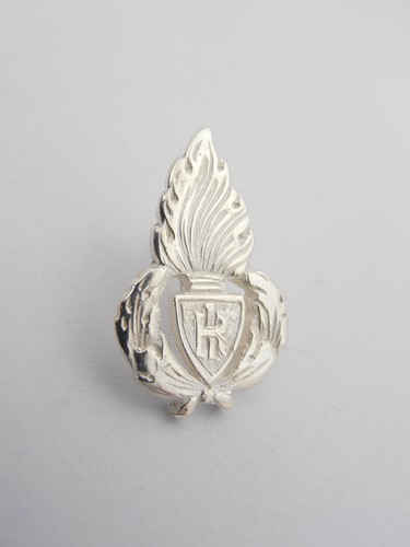 Polizia penitenziaria spilla - penitenziaria, :