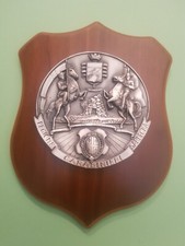 Grande e bellissimo crest regione Carabinieri Sardegna 25x 20