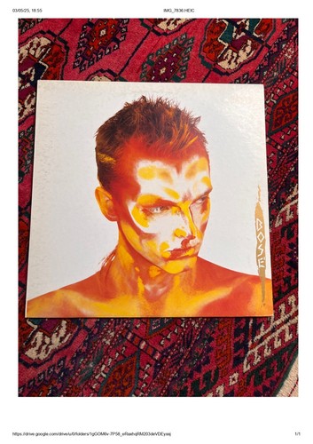 Miguel bose bandido - bose,