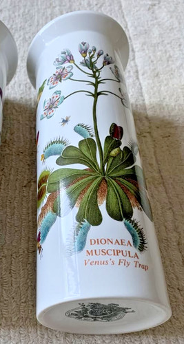Vaso vintage portmeirion - vintage,