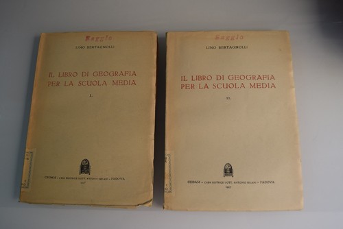 Bertagnoli libro di - il,