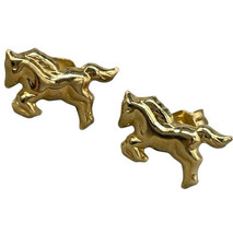 Orecchini di Oro Giallo 18kt