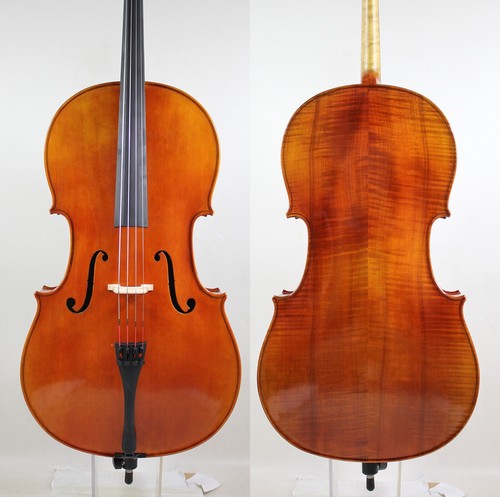 Miglior modello violoncello - modello!,