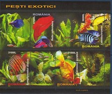 Romania 2005 Pesce Tropicale Natura Pesce Rosso Acqua Dolce Discus Animali M/s MNH