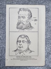 Form & Size - Phrenology -