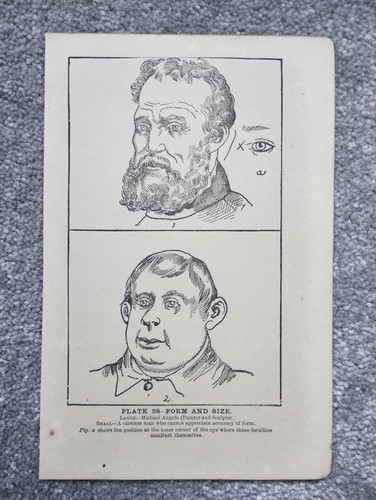 Form size phrenology - form,