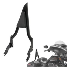 28" Backrest Sissy Bar For