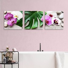 Orchidea Bianca Viola - Tre