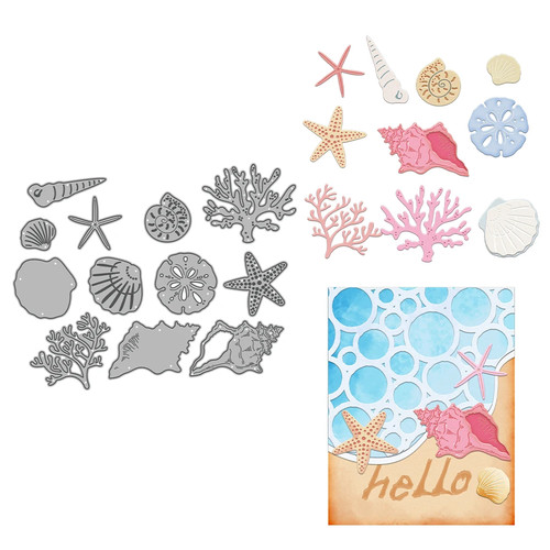 Conchiglie oceaniche stelle