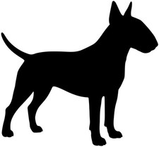  Adesivo Bull Terrier