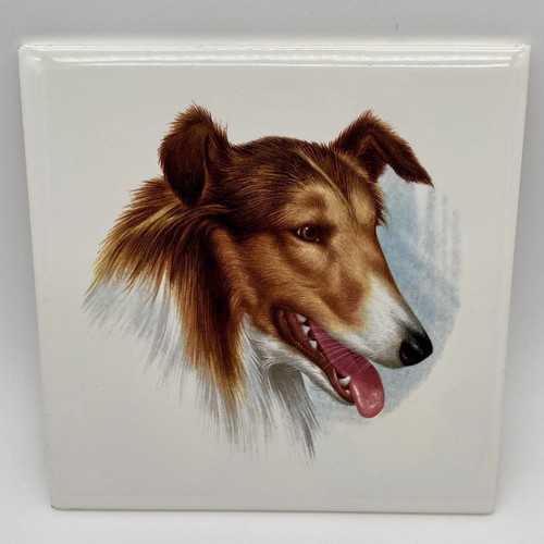 Vintage collie lassie hand - collie,