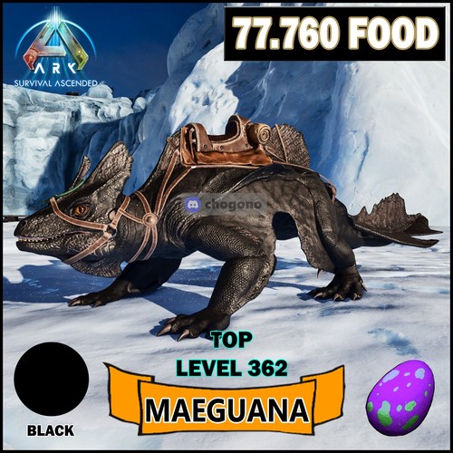Ark survival ascended - ark,