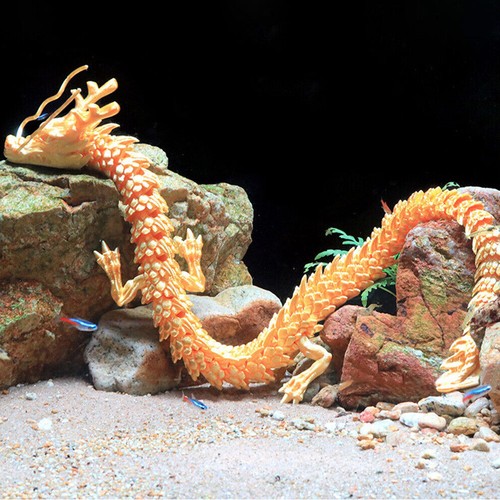 Drago cinese acquario pesci