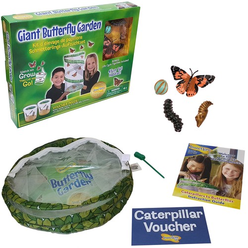 Kit giardino farfalla - kit, da