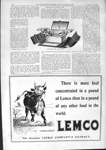 Antica vecchia stampa - , 1901