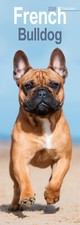 Calendario Bulldog Francese