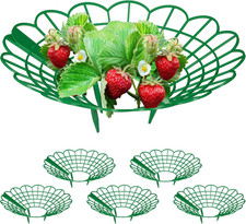 Set Da 6 Anelli Di Supporto