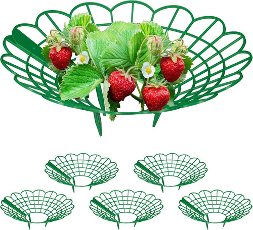 Set anelli di supporto - anelli,