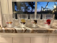 Set 4 bicchieri Tervis Fly