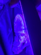 geode calcite ammonite pezzo