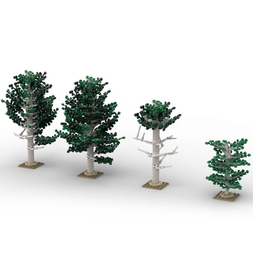 Whitebark pino set treni - pino,