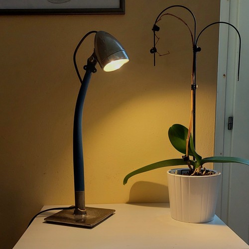 Lampada artigianale