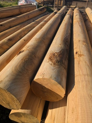 Pali torniti legno di - torniti,