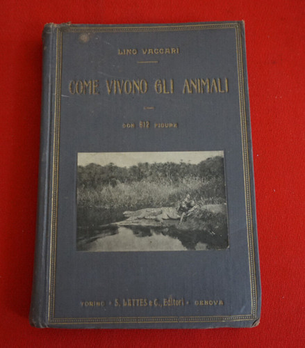 Come vivono gli animali lino - gli,