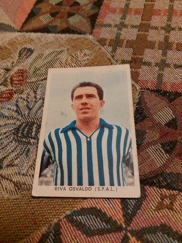 Edizione f torino - s.t.e.f.,