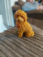 Waffle Wonder Dog barboncino