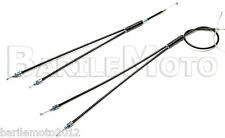 Filo Freno Anteriore +