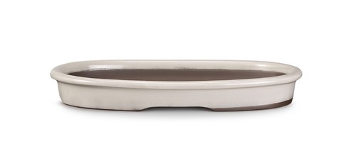 Certrè vaso per - per, bonsai