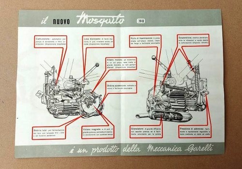 Mosquito garelli - 38,
