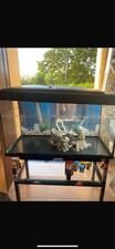 acquario 180 L con Mobile Pompa Filtro Termostato E Attrezzatura Completa