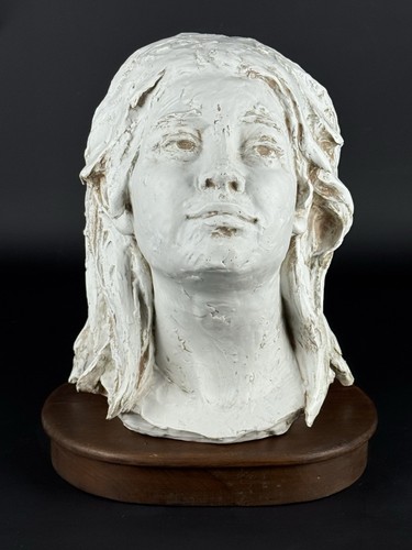 Scultura porcellana testa - porcellana,