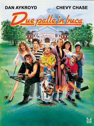Dvd due palle buca - due, in