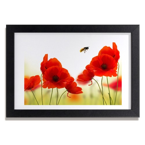 Quadro tulup mdf - quadro,