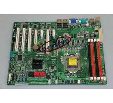   Scheda madre server P7F-X