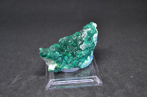 Dioptasio zaire cm - dioptasio,