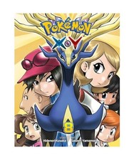 Pokemon X*Y, Vol. 8, Hidenori