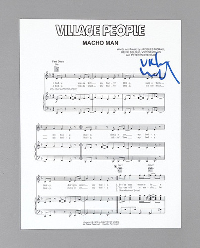 The village people - the, victor