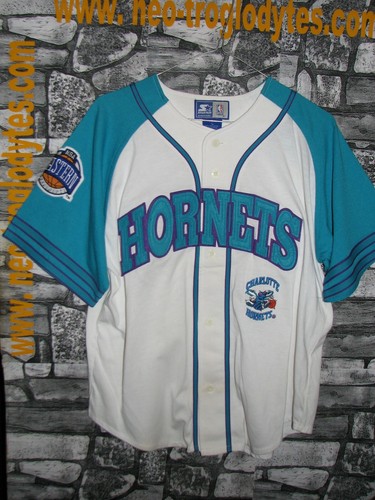 Vintage charlotte hornets - vintage,