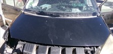 cofano RENAULT SCENIC 1.6 G