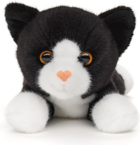 Gatto bianco e - gatto,