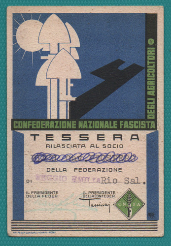 Tessera confederazione - tessera,