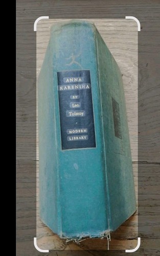 Libro anna karenina - in, inglese