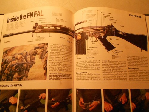 Inside the fal best article - inside,
