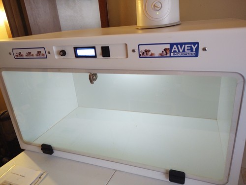 Incubator longer available - no,