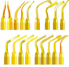 Scaler piezoelettrico dentale